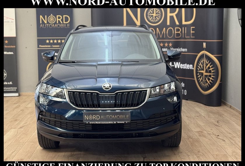Skoda Karoq Karoq Ambition 2.0 TDI DSG Navi/PDC/SHZ/17