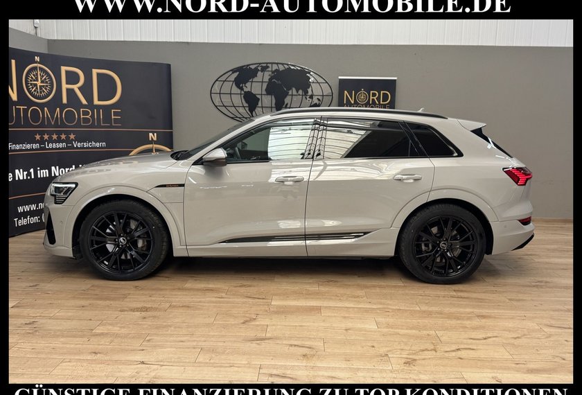 Audi e-tron e-tron 55 QU.S-Line Kamera/21/Side&amp;Lane/ACC/Navi