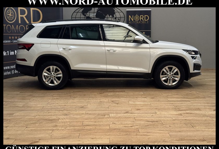 Skoda Kodiaq Kodiaq 2.0 TDI Ambition 4x4 DSG StHz/Pano/LED/