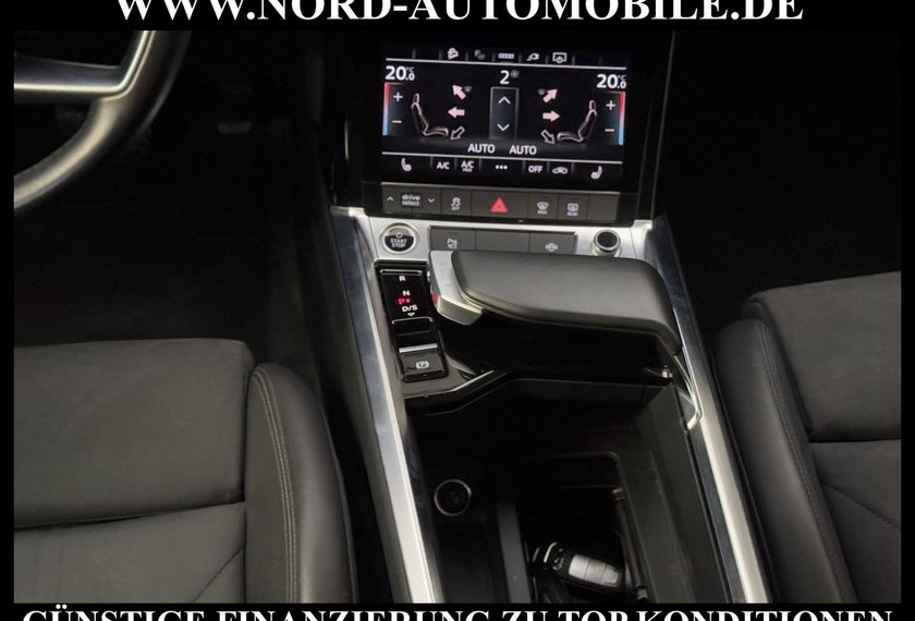 Audi e-tron e-tron 50 QU. Teilleder/Kamera/Navi/LED/20