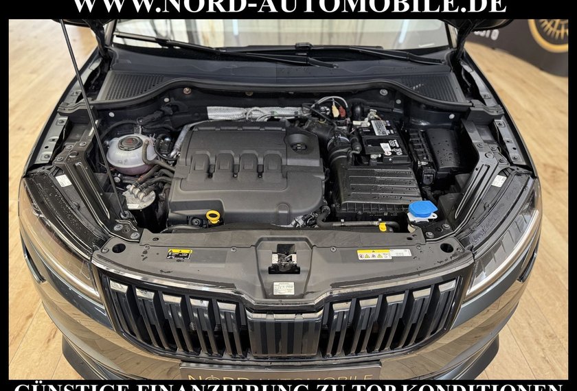 Skoda Karoq Karoq 2.0 TDI 4x4 DSG Sportline Pano/AHK/19/LED