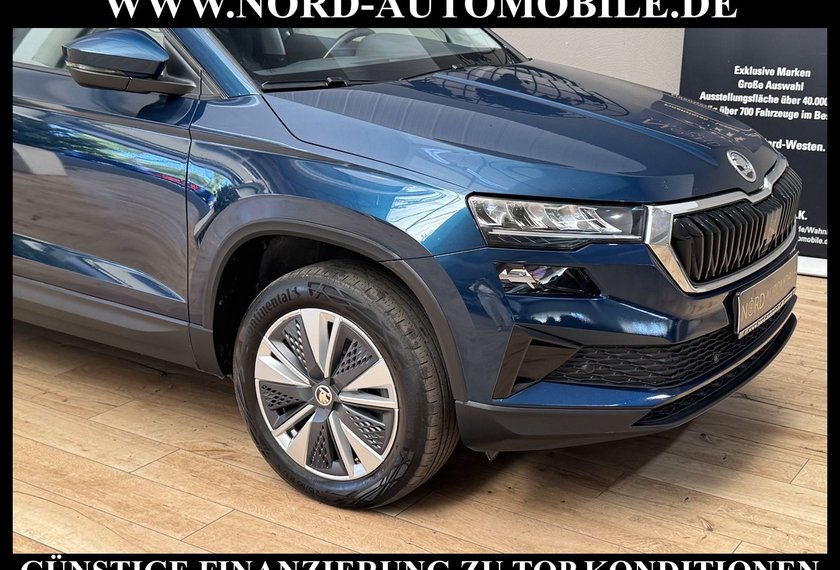Skoda Karoq Karoq Ambition 2.0 TDI DSG Virt.Cockpit/AHK/Navi