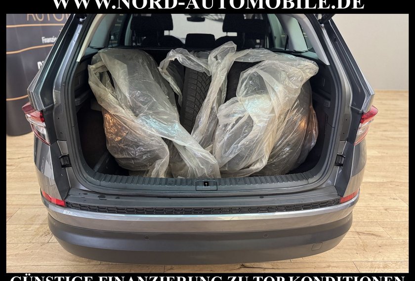Skoda Kodiaq Kodiaq Ambition 2.0 TDI DSG Matrix/StHz/Virt.Coc
