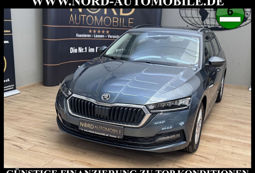 Skoda Octavia Octavia Combi Ambition 2.0 TDI DSG Kamera/AHK/