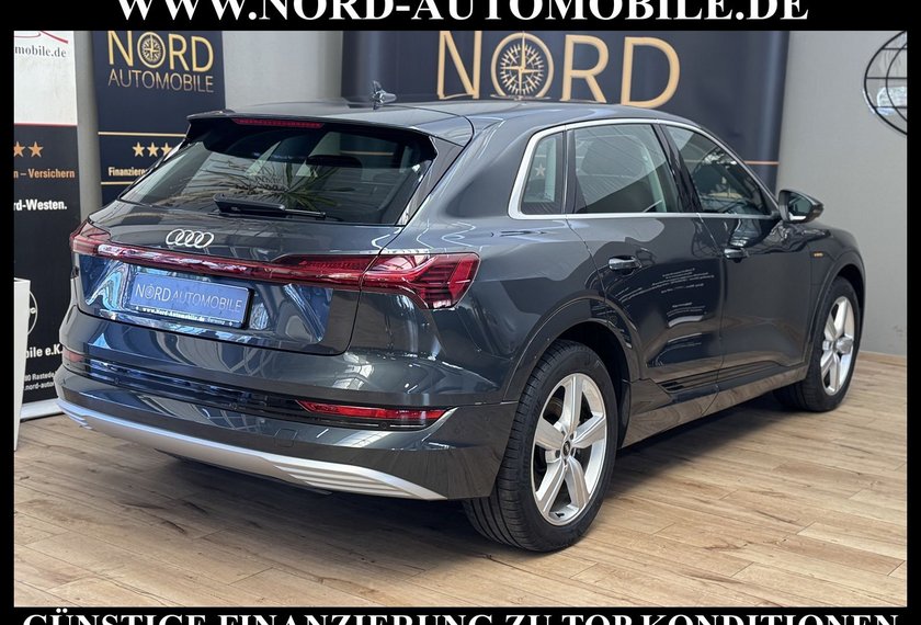 Audi e-tron e-tron 55 QU.Advanced Automatik Kamera/Navi/LED