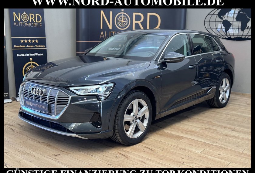 Audi e-tron e-tron 55 QU.Advanced Automatik Kamera/Navi/LED