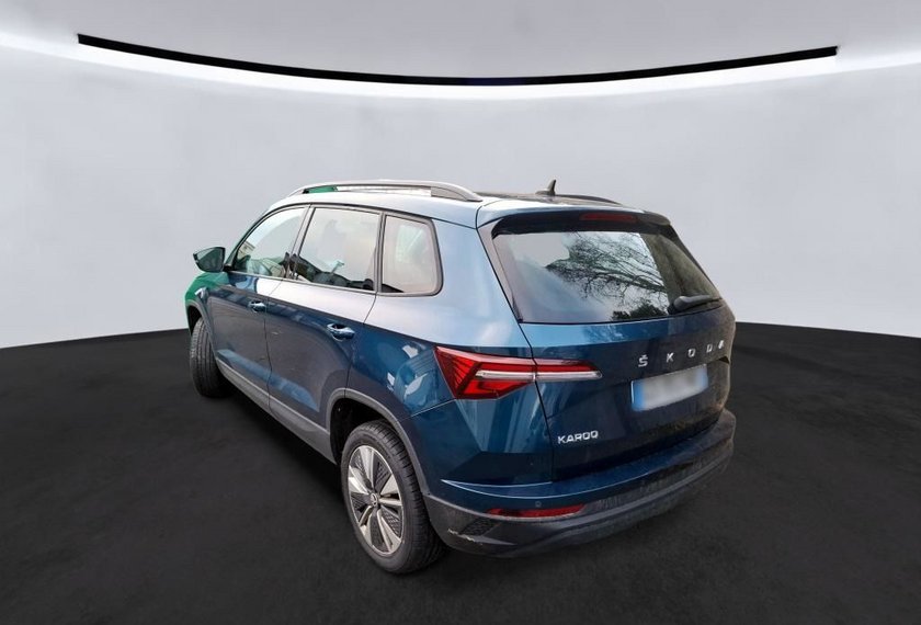 Skoda Karoq Karoq Business 2.0 TDI DSG Virt.Cockpit/Kamera/
