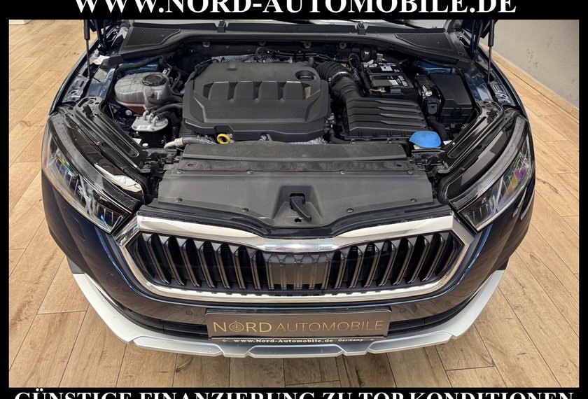 Skoda Octavia Octavia Scout Combi 2.0 TDI DSG Pano/AHK/StHz/18