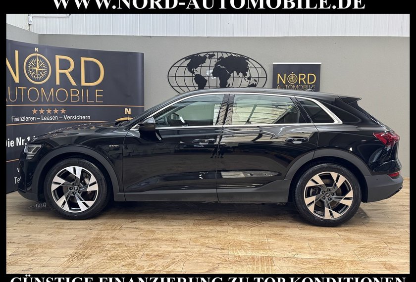 Audi e-tron e-tron 55 QU. Teilleder/AHK/Kamera/20/