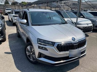Skoda Karoq Karoq 2.0 TDI Ambition 4x4 DSG Kamera/Virt.Cockp