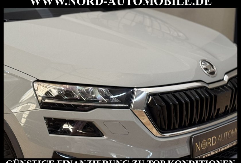 Skoda Karoq Karoq Style 2.0 TDI Navi/Kamera/Virt.Cockpit/18