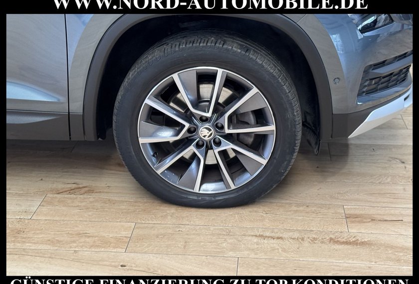 Skoda Kodiaq Kodiaq 2.0 TDI Scout 4x4 DSG StHz/AHK/Kamera/19
