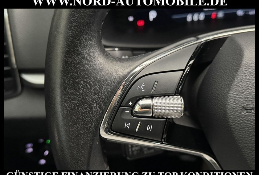 Skoda Karoq Karoq Ambition 2.0 TDI DSG Virt.Cockpit/Kamera/