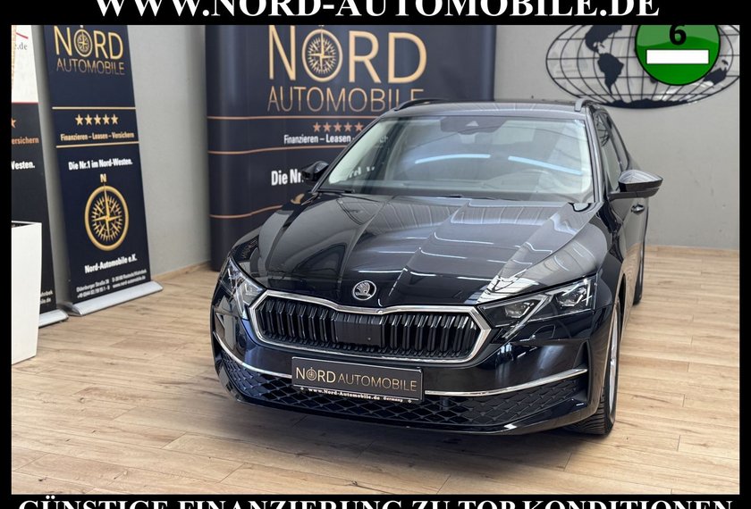 Skoda Octavia Octavia Combi TDI DSG SELECTION LODGE *360*AHK*