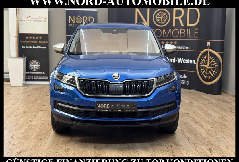 Skoda Kodiaq Kodiaq 2.0 TDI DSG Scout 4x4 Area View/AHK/19/