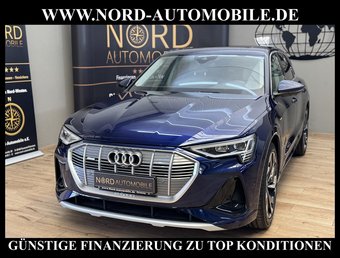 Audi e-tron e-tron 50 QU.S-Line Design Selection Matrix/Pano