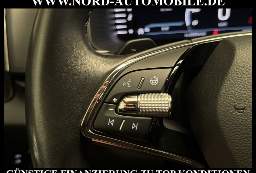 Skoda Karoq Karoq Style 2.0 TDI DSG Virt.Cockpit/Kamera/18