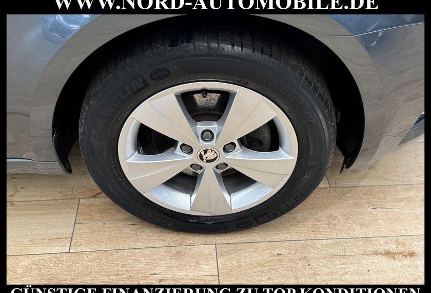 Skoda Octavia Octavia Combi Style 2.0 TDI DSG Pano/Navi/Lane
