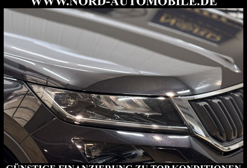 Skoda Kodiaq Kodiaq Ambition 2.0 TDI DSG Virt.Cockpit/Navi/19