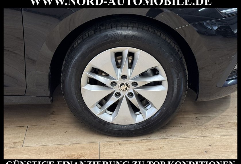 Skoda Octavia Octavia Combi Ambition 2.0 TDI DSG AHK/Kamera/