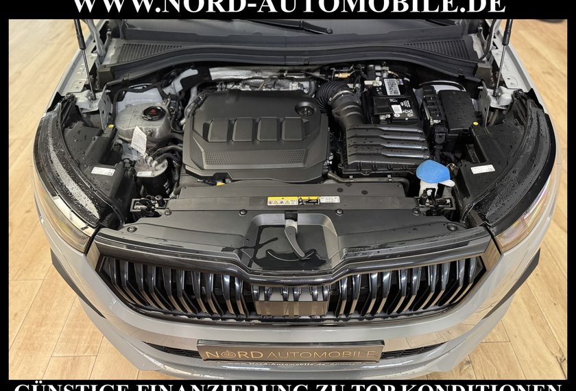 Skoda Kodiaq Kodiaq Sportline 2.0 TDI DSG Leder/AHK/Kamera/19