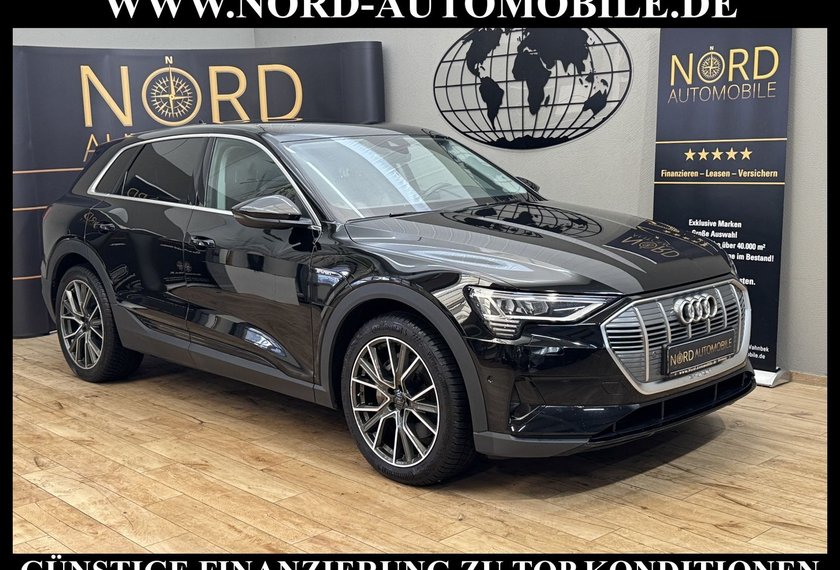 Audi e-tron e-tron 50 QU. Leder*Kamera*LED*21''*Navi*