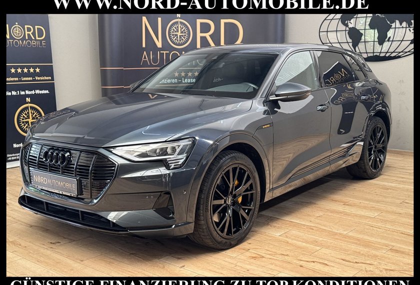Audi e-tron e-tron 50 QU.S-Line Teilleder/Kamera/Navi/21