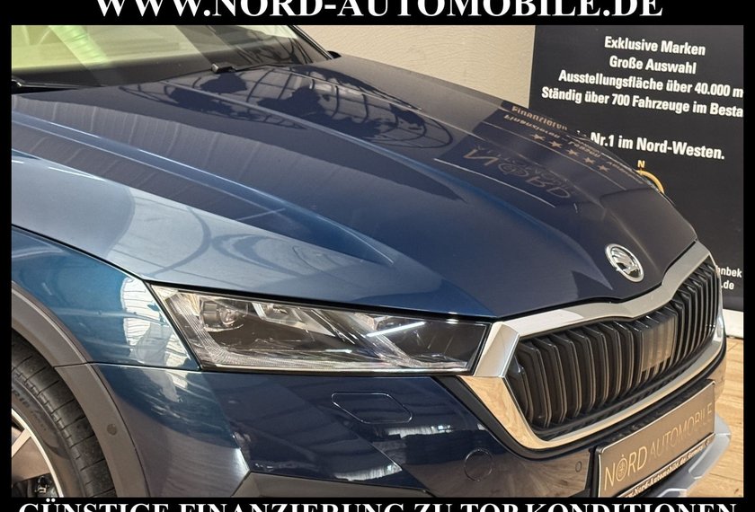 Skoda Octavia Octavia Scout Combi 2.0 TDI DSG Pano/AHK/StHz/18