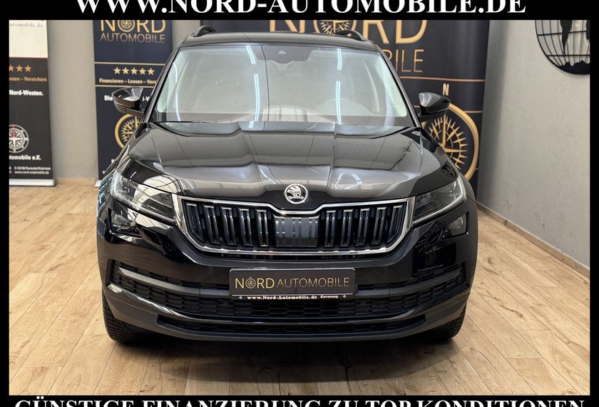 Skoda Kodiaq Kodiaq Ambition 2.0 TSI DSG AHK/SIDE&amp;LANE/19/LED