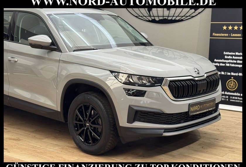 Skoda Kodiaq Kodiaq Ambition 2.0 TDI DSG Kamera/LED/17