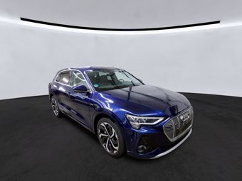 Audi e-tron e-tron 50 QU.S-Line Design Selection Matrix/Pano