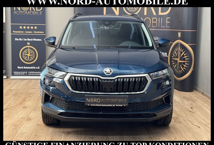 Skoda Karoq Karoq Business 2.0 TDI DSG Virt.Cockpit/Kamera/
