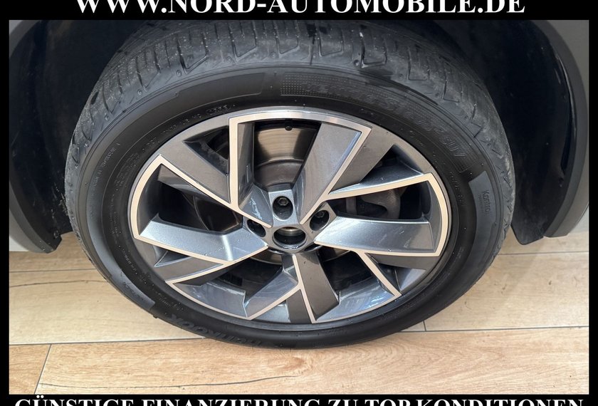 Skoda Kodiaq Kodiaq Sportline 2.0 TDI DSG Leder/AHK/Kamera/19
