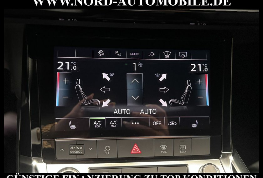 Audi e-tron e-tron 50 QU.S-Line Teilleder/Kamera/Head-Up/20