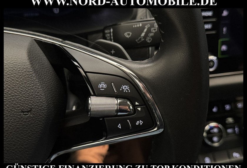 Skoda Kodiaq Kodiaq Style 2.0 TDI Kamera/Navi/Matrix/