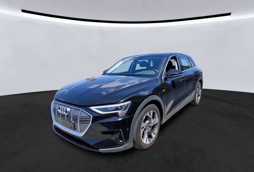 Audi e-tron e-tron QU. 55 Automatik Teilleder/Navi/LED/20