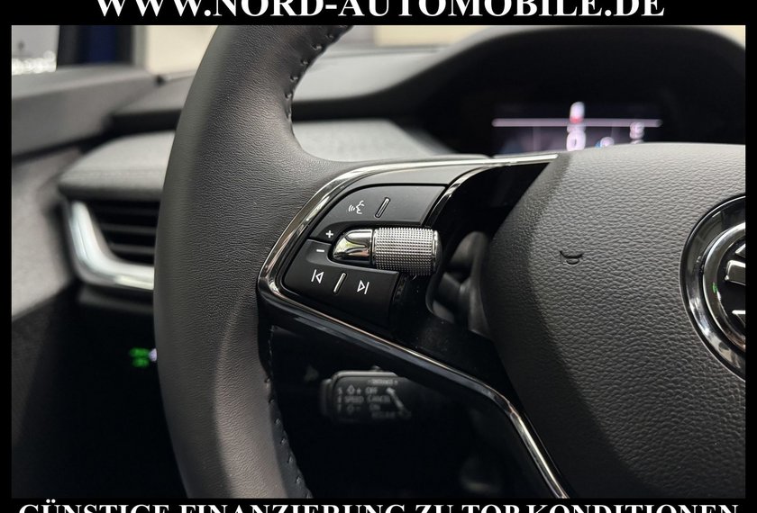 Skoda Enyaq Enyaq iV 50 Automatik CCS/Teilleder/LED/PDC