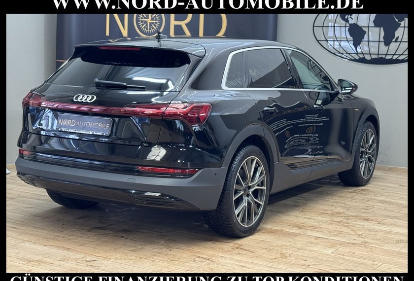 Audi e-tron e-tron 50 QU. Leder*Kamera*LED*21''*Navi*