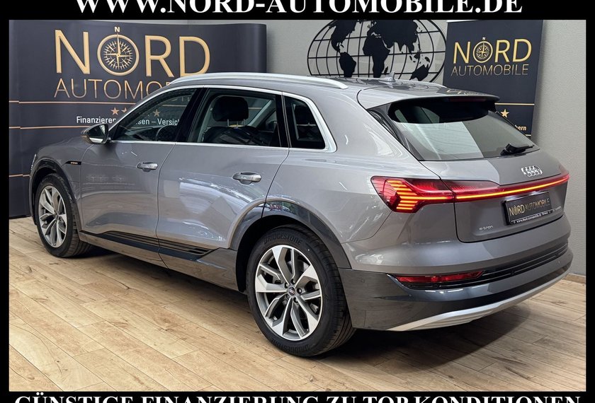 Audi e-tron e-tron 50 QU.Advanced Leder/AHK/Kamera/Matrix