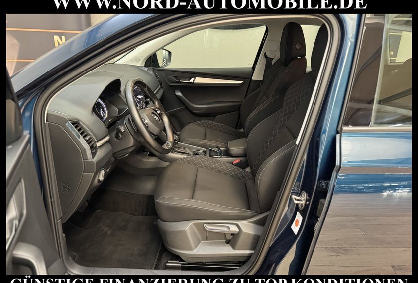 Skoda Karoq Karoq Ambition 2.0 TDI DSG Navi/PDC/SHZ/17