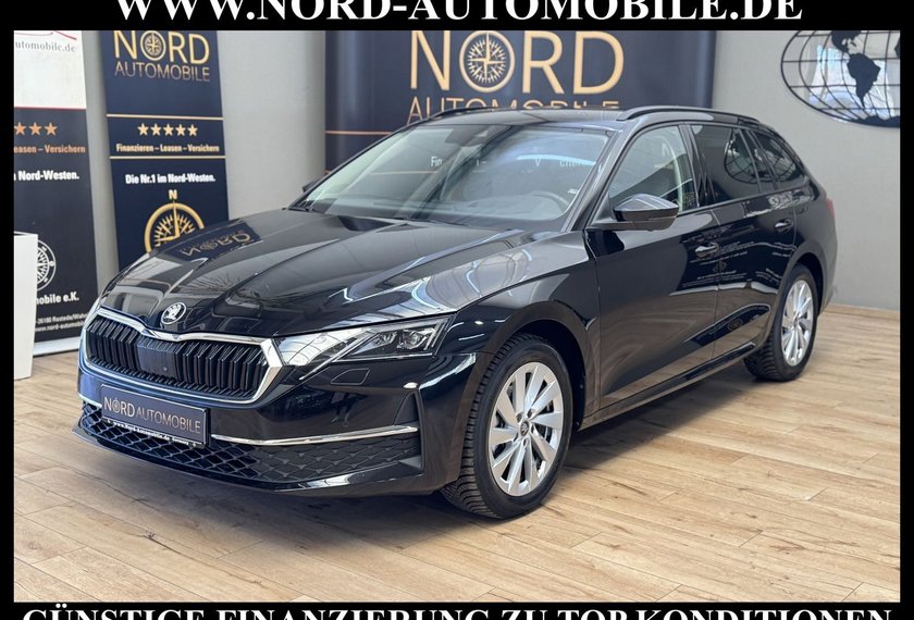 Skoda Octavia Octavia Combi TDI DSG SELECTION LODGE *360*AHK*