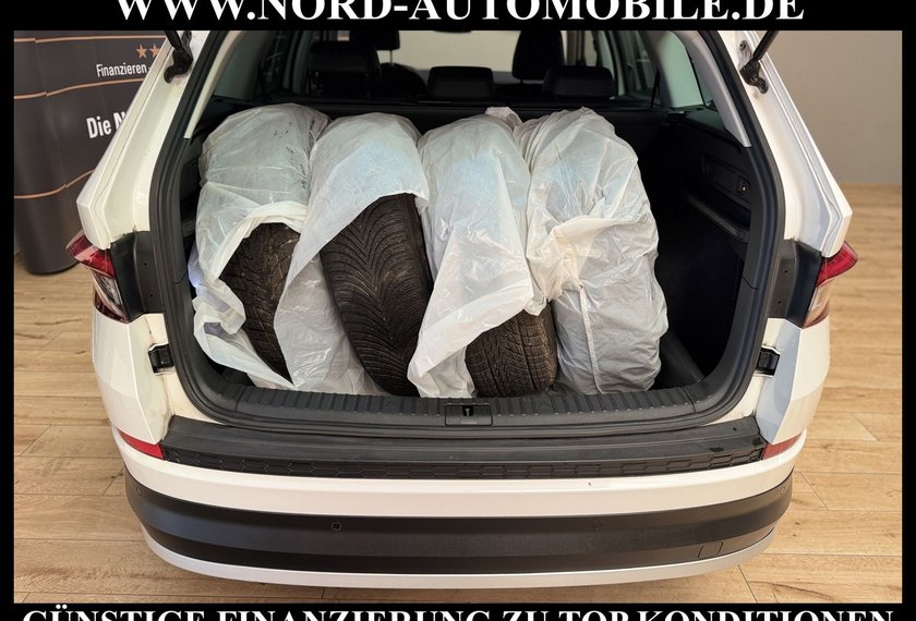 Skoda Kodiaq Kodiaq SCOUT 2.0 TDI DSG 4x4 *AHK*STHZ*19ZOLL*