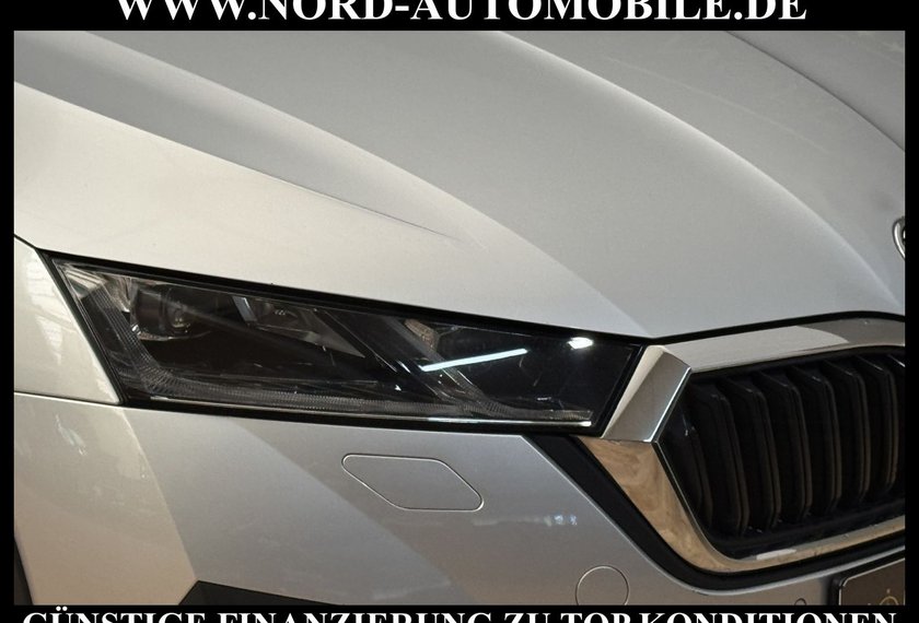 Skoda Octavia Octavia Combi 2.0 TDI 4x4 Scout DSG AHK/HeadUp/