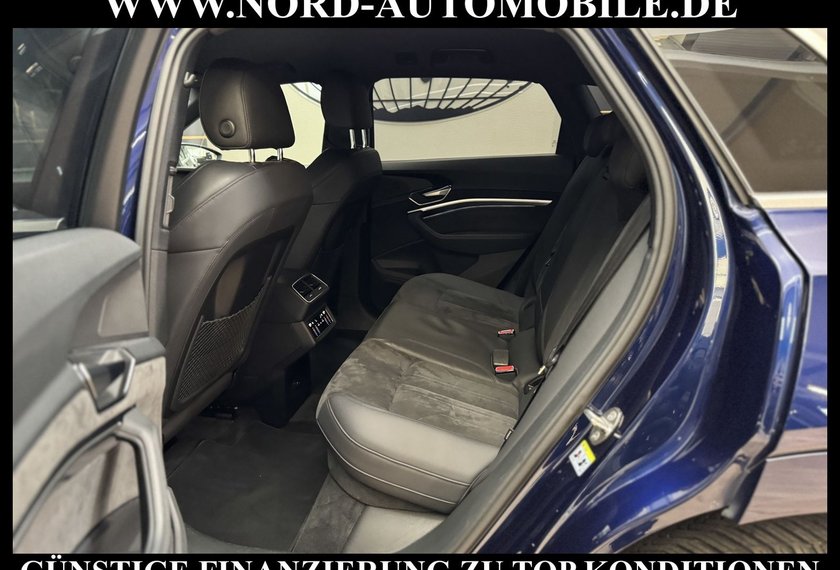 Audi e-tron e-tron 55 QU.S-Line Head-Up/Matrix/Side&amp;Lane/20