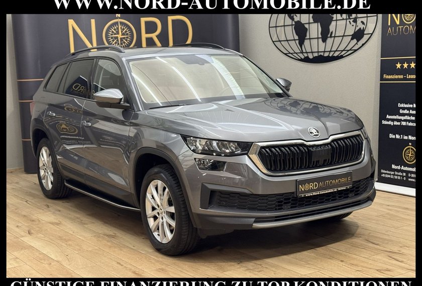 Skoda Kodiaq Kodiaq Ambition 2.0 TDI DSG Leder/AHK/Trittbrett
