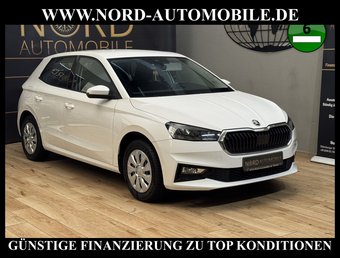 Skoda Fabia Fabia Active 1.0 MPI LED/Klima/SHZ/