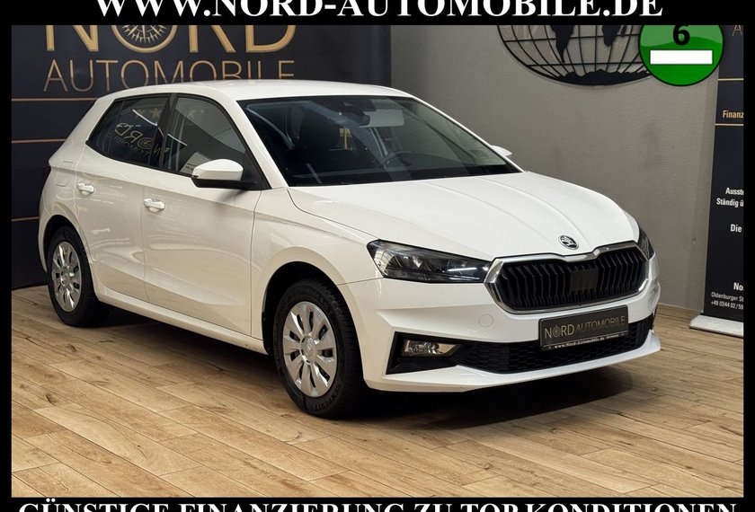 Skoda Fabia Fabia Active 1.0 MPI LED/Klima/SHZ/