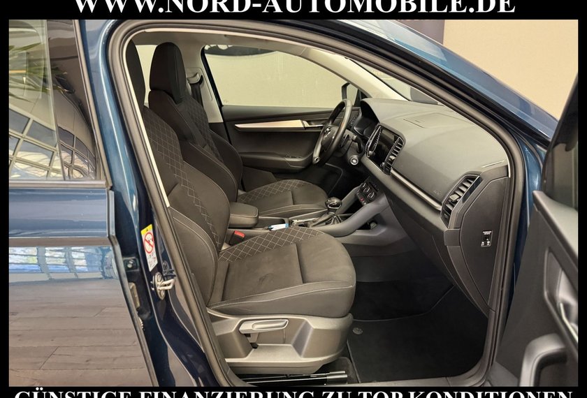 Skoda Karoq Karoq Ambition 2.0 TDI DSG Navi/PDC/SHZ/17