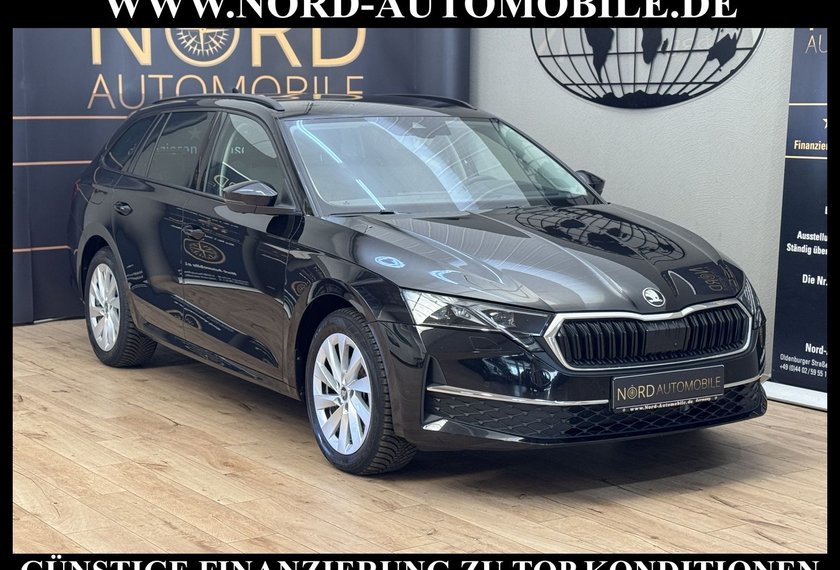 Skoda Octavia Octavia Combi TDI DSG SELECTION LODGE *360*AHK*