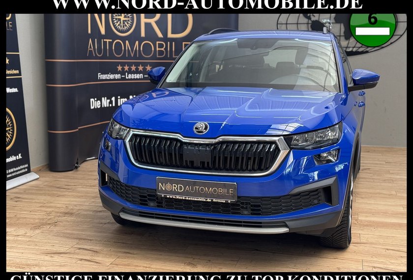 Skoda Kodiaq Kodiaq Active 2.0 TDI DSG LED/AHK/SHZ